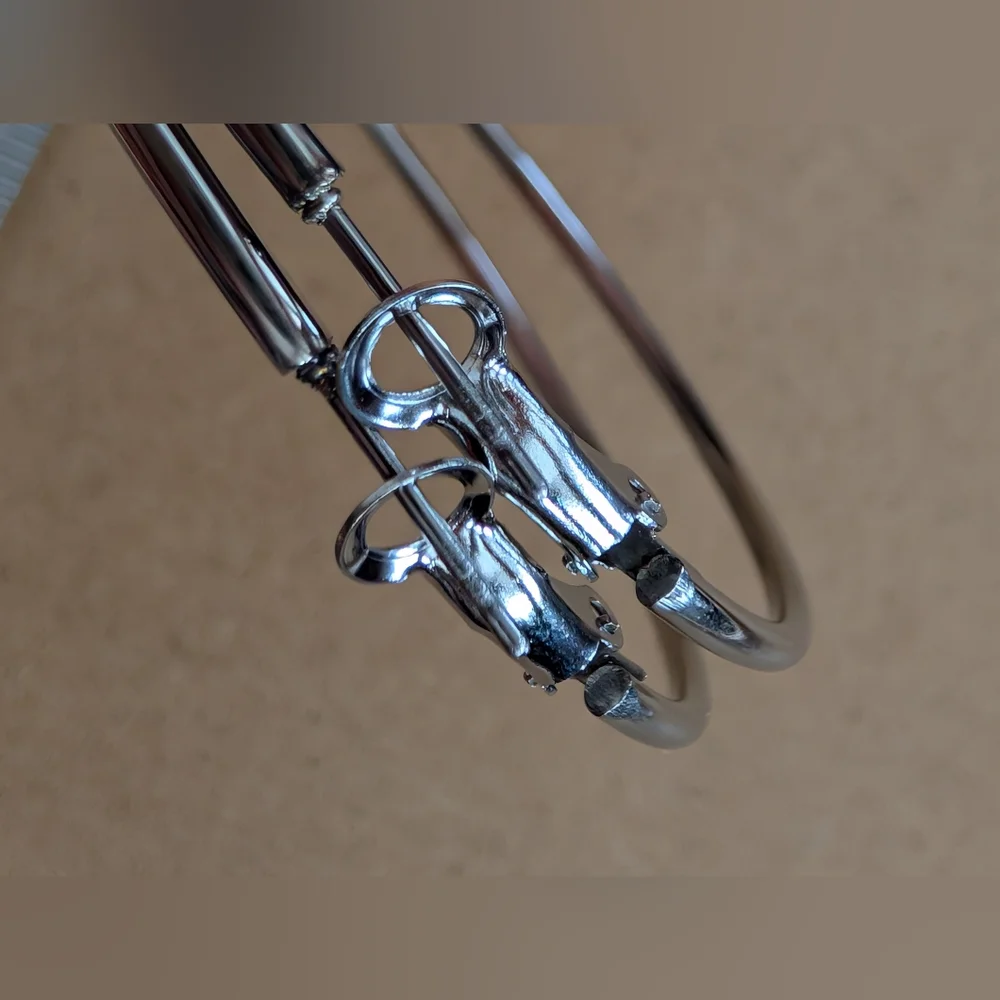 Stainless Steel Hoop Earrings